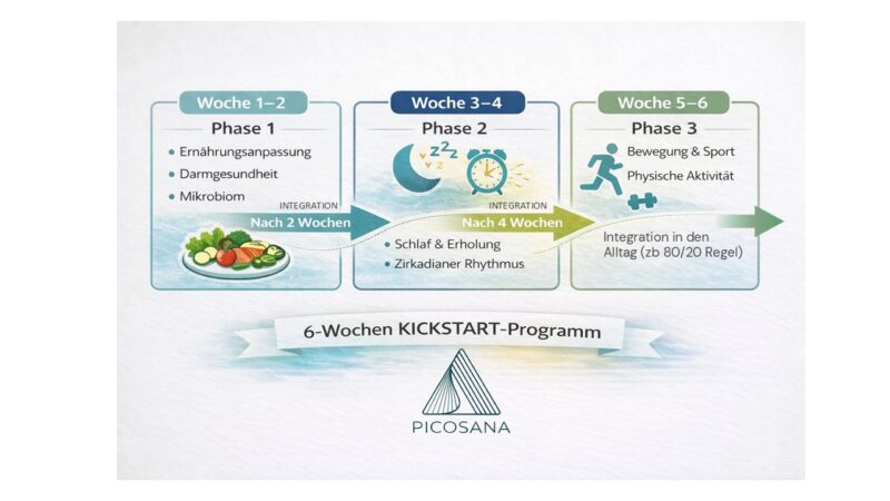 6-Wochen-Programmtabelle in deutscher Sprache mit drei Phasen: Ernährung, Schlaf und Bewegung, plus Icons für jede Phase.