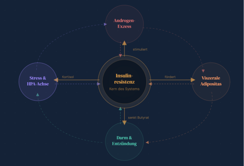 Ein kreisförmiges Flussdiagramm auf Deutsch, das Faktoren zeigt, die zur Insulinresistenz beitragen, darunter Stress und Entzündungen.