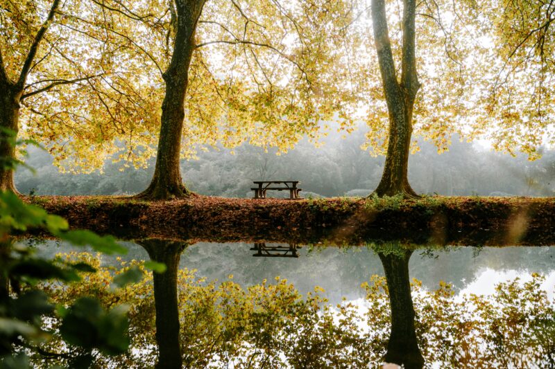 Ein Picknicktisch steht zwischen herbstlichen Bäumen, die sich in einem ruhigen Teich unter goldenen Blättern spiegeln - ein perfekter Ort, um Gesundheit und Ruhe zu genießen.